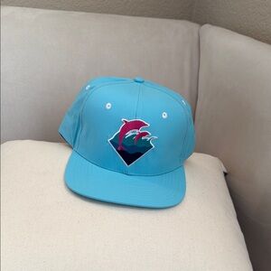 Pink Dolphin Aqua Snapback Hat